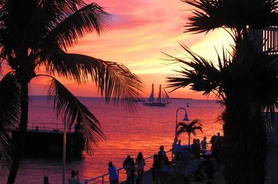 florida_in_new_york_program_key_west_soncen_zahod