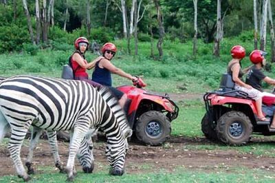 mauritius_casela_park_4-1